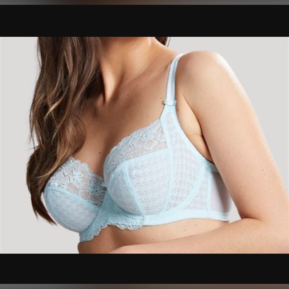 Panache Envy Icy Blue Lace Bra 30F UK 30G US
